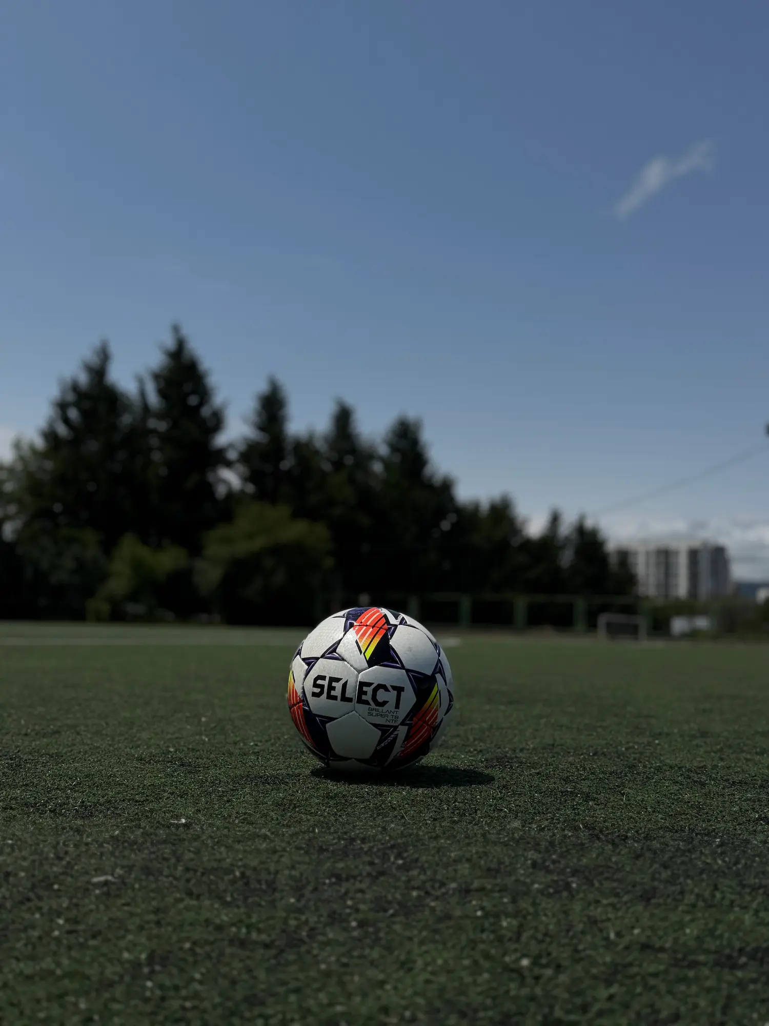 ball and stadium image