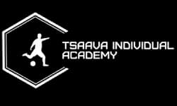 Tsaava Individual Academy Logo