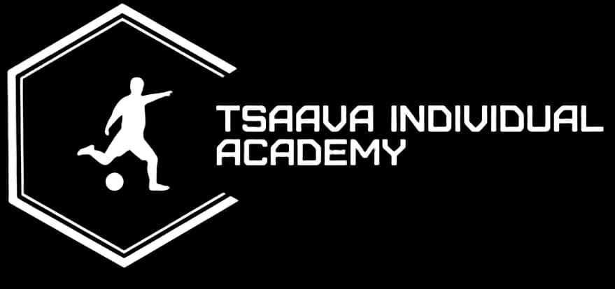 Tsaava Individual Academy Logo